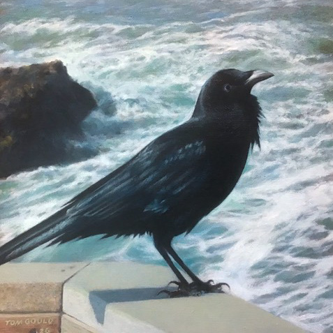 Crow at the Beach