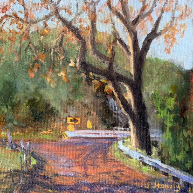 Curve in the Journey